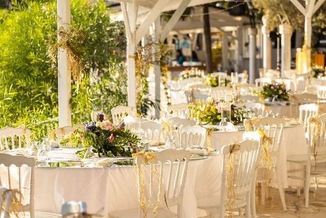 Themed backdrop styling for a celebration